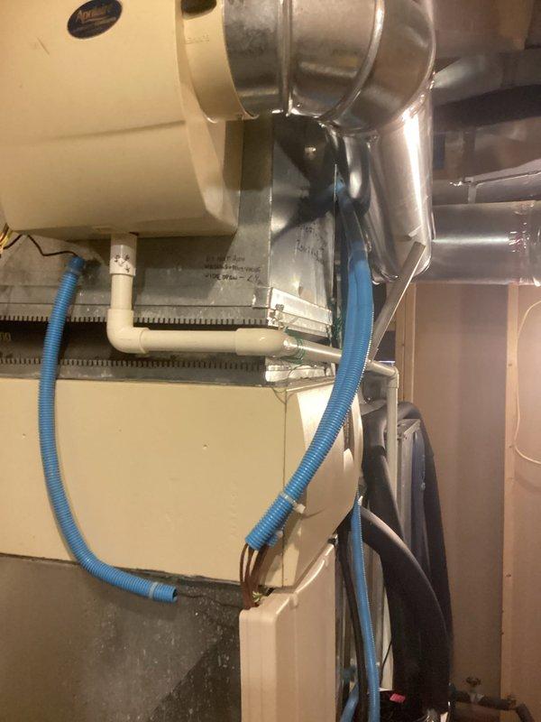 Responded to service callback regarding hot water tank leak. Upon inspection, identified condensate drainage issue from HVAC system with improper routing of blue flexible drain line. Redirected condensate drain line to proper discharge point and secured all connections to eliminate leakage, removing collection bucket that was previously needed.