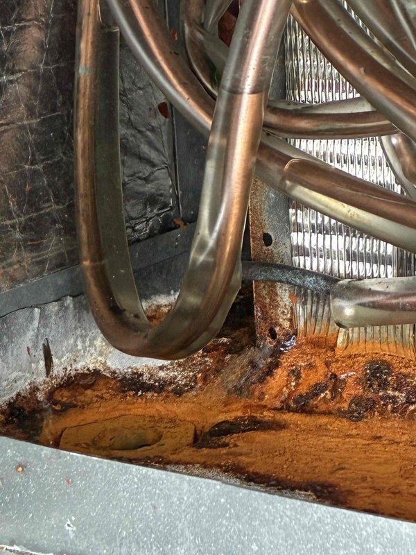 Completed spring/summer preventive maintenance on commercial cooling system. Performed comprehensive inspection of heat exchanger coil assembly, refrigerant lines, and blower components. During inspection, identified significant rust and corrosion at base of heat exchanger unit, particularly at tube connection points and lower platform areas. Corrosion exhibits orange-brown deposits with areas of darker discoloration, indicating prolonged moisture exposure affecting critical connection points. Additional rust damage observed along bottom edge of coil assembly spanning width of unit. Documented conditions with photographic evidence. Verified refrigerant line integrity and blower fan housing condition. Advised customer of corrosion findings and recommended monitoring for potential replacement needs to prevent system failure. Unit operational at time of service completion.