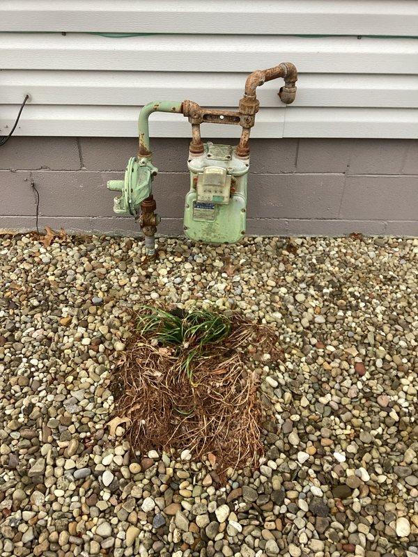 Conducted site evaluation for installation of 8-foot gas line to support new standby generator. Assessed existing gas meter and utility infrastructure, including current piping configuration and connection points. Documented site conditions showing weathered gas meter assembly with corroded piping and valve connections mounted on concrete foundation. Evaluated gravel bed work area and exterior wall access points along vinyl siding for optimal routing of new gas line. Provided comprehensive estimate for gas line installation, including materials and labor requirements for safe connection from existing gas meter to proposed generator location.