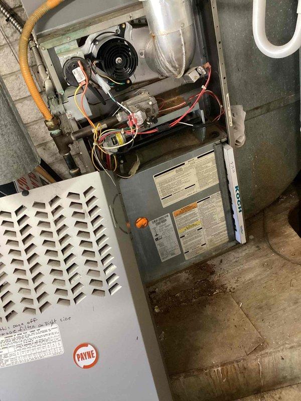 Completed scheduled commercial filter maintenance on Payne furnace system. Accessed furnace cabinet, inspected blower motor assembly and internal components, and replaced air filters in white metal air handler unit. Verified all mechanical components operating within normal parameters, checked condensate drain lines and PVC venting for proper function, and confirmed ductwork connections secure. System restored to full operation with improved airflow efficiency.