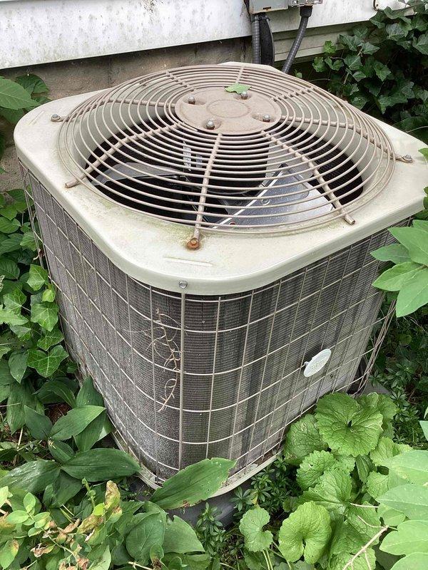 Completed scheduled commercial cooling maintenance visit on outdoor condensing unit. Inspected electrical components including contactor, capacitor (marked 4/7/21), and associated wiring connections within control panel. Observed operational equipment with signs of normal wear and environmental exposure. Unit accessible but surrounded by vegetation growth requiring clearance consideration for proper airflow. All electrical connections visually inspected and equipment photographed for maintenance records.