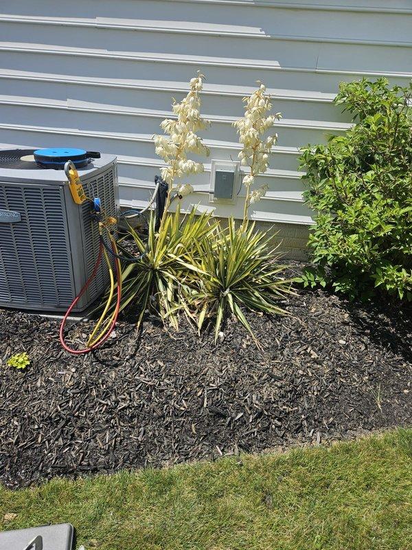 Completed routine cooling maintenance on a 10-year-old residential HVAC system. Performed comprehensive inspection of both indoor furnace unit and outdoor condensing unit, checked refrigerant pressures and levels, cleaned condenser coils, verified proper system operation, and documented equipment condition with photographs. All components found to be functioning within normal parameters.
