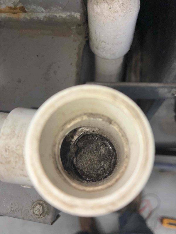 Responded to service call for excessive condensate discharge in counter room area. Upon inspection, discovered condensate drain line with significant buildup and blockage causing water overflow. Cleared obstruction from drain line, removed accumulated debris and residue from pipe interior, and verified proper drainage flow was restored to prevent further water damage.