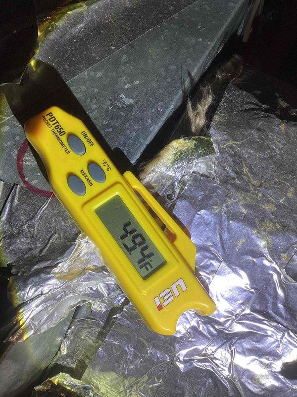 Completed spring maintenance on Mitsubishi Electric inverter mini-split system. Performed comprehensive inspection of indoor and outdoor units, verified system operation with unit showing normal status indicators, and recorded temperature measurements at ductwork reading 49.4°F, confirming proper cooling performance and refrigerant charge levels.
