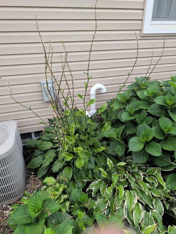Installed intake piping for residential furnace system, with exterior PVC intake termination visible at foundation level. Installed three combination smoke and carbon monoxide detectors throughout the residence to ensure proper life safety protection and code compliance.