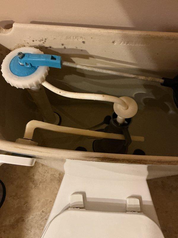 Responded to customer complaint of continuous water running into toilet bowl after flushing. Upon inspection, identified faulty fill valve causing persistent water flow. Removed tank lid and assessed internal components including fill valve assembly, float mechanism, and flush valve system. Adjusted fill valve and float settings to restore proper water shutoff function, eliminating the continuous drain issue and restoring normal toilet operation.