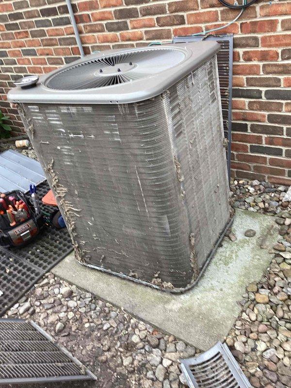 Responded to no cooling complaint on commercial air conditioning system. Upon arrival, performed diagnostic assessment of outdoor condenser unit. Conducted temperature and operational measurements using digital testing equipment. Inspected condenser unit exterior condition, electrical connections, and surrounding installation area. Identified system issues and took diagnostic readings to determine root cause of cooling failure. Unit required service attention due to operational malfunction affecting commercial space climate control.