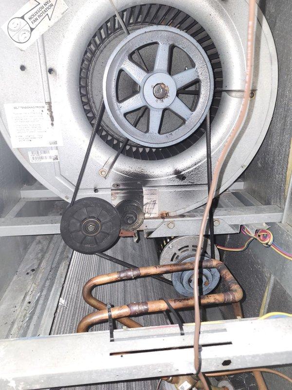 Completed spring maintenance on commercial rooftop HVAC unit I-AX56. Performed comprehensive inspection of blower assembly, belt drive system, and refrigerant lines, documenting equipment condition with photographs. All components found operating within normal parameters with routine weathering consistent with outdoor installation.