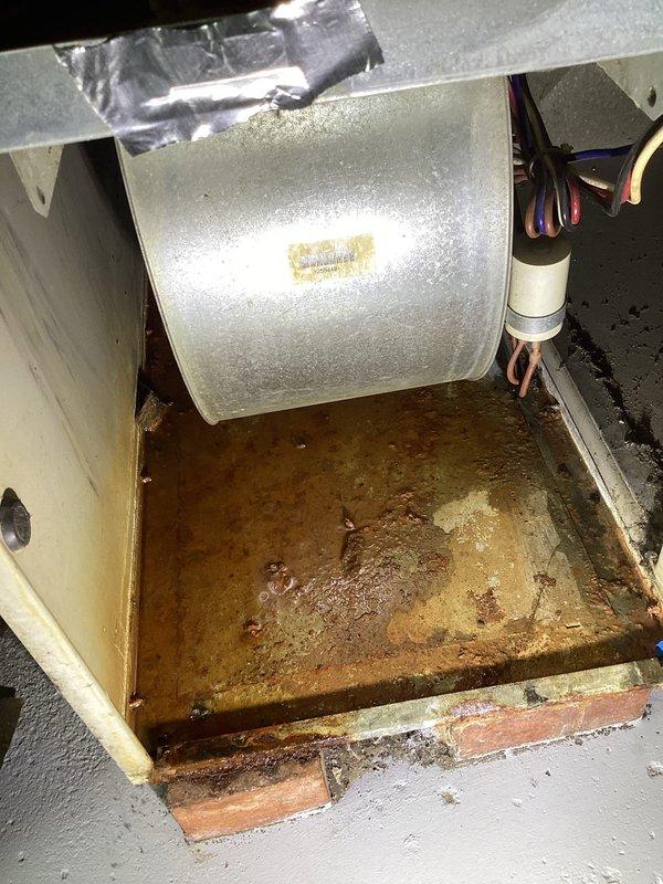Responded to service call for air conditioning unit with fan producing sharp hissing sound. Upon inspection, discovered blower motor assembly with significant condensation accumulation and severely corroded drain pan with extensive rust damage and water staining. Replaced air filter and assessed electrical components including capacitor connections, which appeared intact. The corroded drain pan and moisture issues indicate ongoing drainage problems requiring attention to prevent further equipment deterioration and potential system failure.