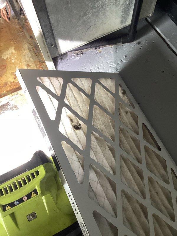 Responded to service call for air conditioning unit with fan producing sharp hissing sound. Upon inspection, discovered blower motor assembly with significant condensation accumulation and severely corroded drain pan with extensive rust damage and water staining. Replaced air filter and assessed electrical components including capacitor connections, which appeared intact. The corroded drain pan and moisture issues indicate ongoing drainage problems requiring attention to prevent further equipment deterioration and potential system failure.