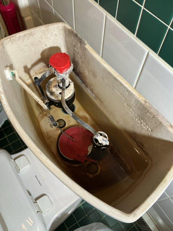 Responded to service call regarding two plumbing concerns: a toilet with intermittent refilling issues and a gas line shut-off valve requiring modification. Inspected toilet tank and identified discolored water with visible sediment and mineral deposits throughout the tank interior, along with aging flush valve assembly and fill valve components showing corrosion. Examined flexible CSST gas connector with brass shut-off valve installed for dryer connection. Customer requested valve extension to improve accessibility for complete shut-off operation. Documented existing conditions of both toilet mechanism and gas line installation with photographs for service records.