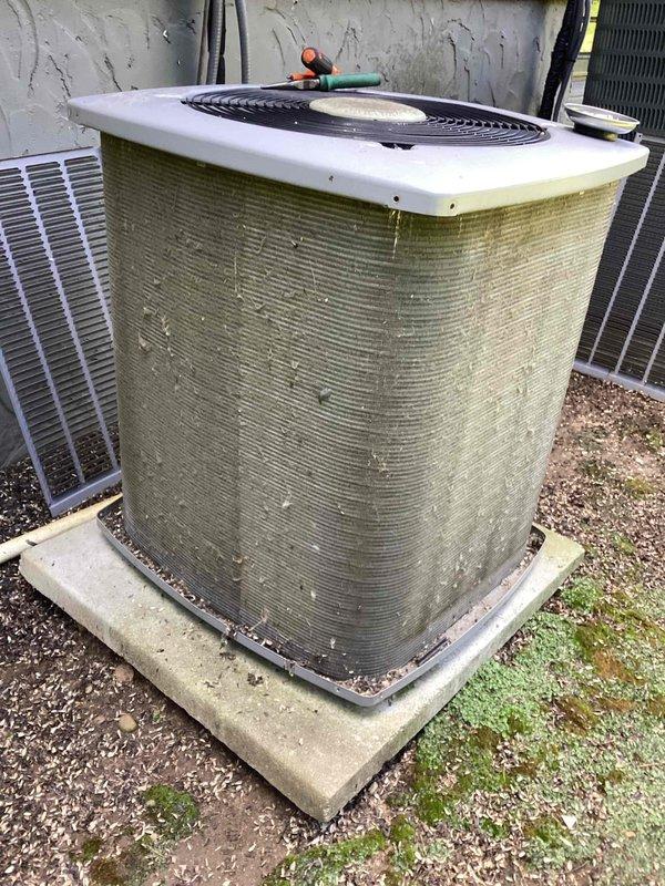 Completed routine commercial cooling maintenance on two Goodman condenser units as part of recurring service contract. Inspected both units, noting significant algae and organic growth accumulation on exterior coil fins of one unit, which can restrict airflow and reduce heat exchange efficiency. Verified both units operational and level on concrete pads, documented equipment condition with photographs for service records.