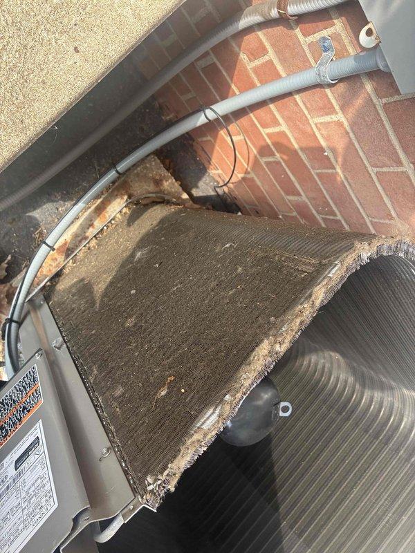 Performed scheduled commercial cooling maintenance visit on rooftop HVAC unit. Upon inspection, discovered evaporator coil heavily contaminated with dirt, dust, and debris buildup causing restricted airflow. Documented existing conditions including significant accumulation on coil fins and surfaces. Inspected electrical conduit runs and mounting hardware, confirming secure installation against brick wall structure. Assessed upper structural area and surrounding components for overall system condition. Unit requires immediate coil cleaning to restore proper airflow and operational efficiency.