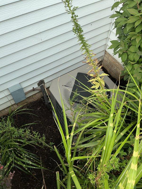 Conducted comprehensive assessment of existing HVAC system and provided detailed estimate for complete system replacement. Presented pricing options including base system installation and available upgrades: Aprilaire 600M humidifier for enhanced indoor humidity control, upgraded air cleaner for improved filtration, and Ecobee smart thermostat (base package includes Honeywell S200 thermostat). Documented current outdoor condensing unit condition, noting unit positioned against building exterior with surrounding vegetation requiring clearance consideration for optimal airflow and future service access. Photographed existing equipment installation including condenser unit placement, electrical disconnect location, and refrigerant line routing along exterior wall.