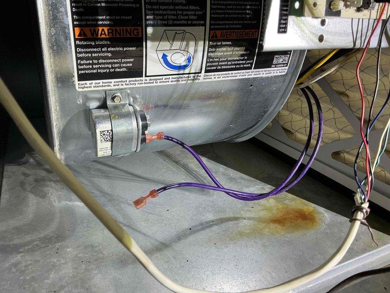 Completed fall maintenance on commercial HVAC unit. Performed comprehensive inspection of control board, electrical connections, and blower motor assembly. Verified all wire terminations at circuit board and junction box are secure. Inspected main control PCB with microprocessor, relays, and associated components for proper operation. Checked blower motor housing and internal components, noting minor surface rust on base panel. Confirmed all safety labels and warnings are present and legible. Documented equipment condition with photographs of control system and blower assembly. System operational upon completion of preventive maintenance procedures.