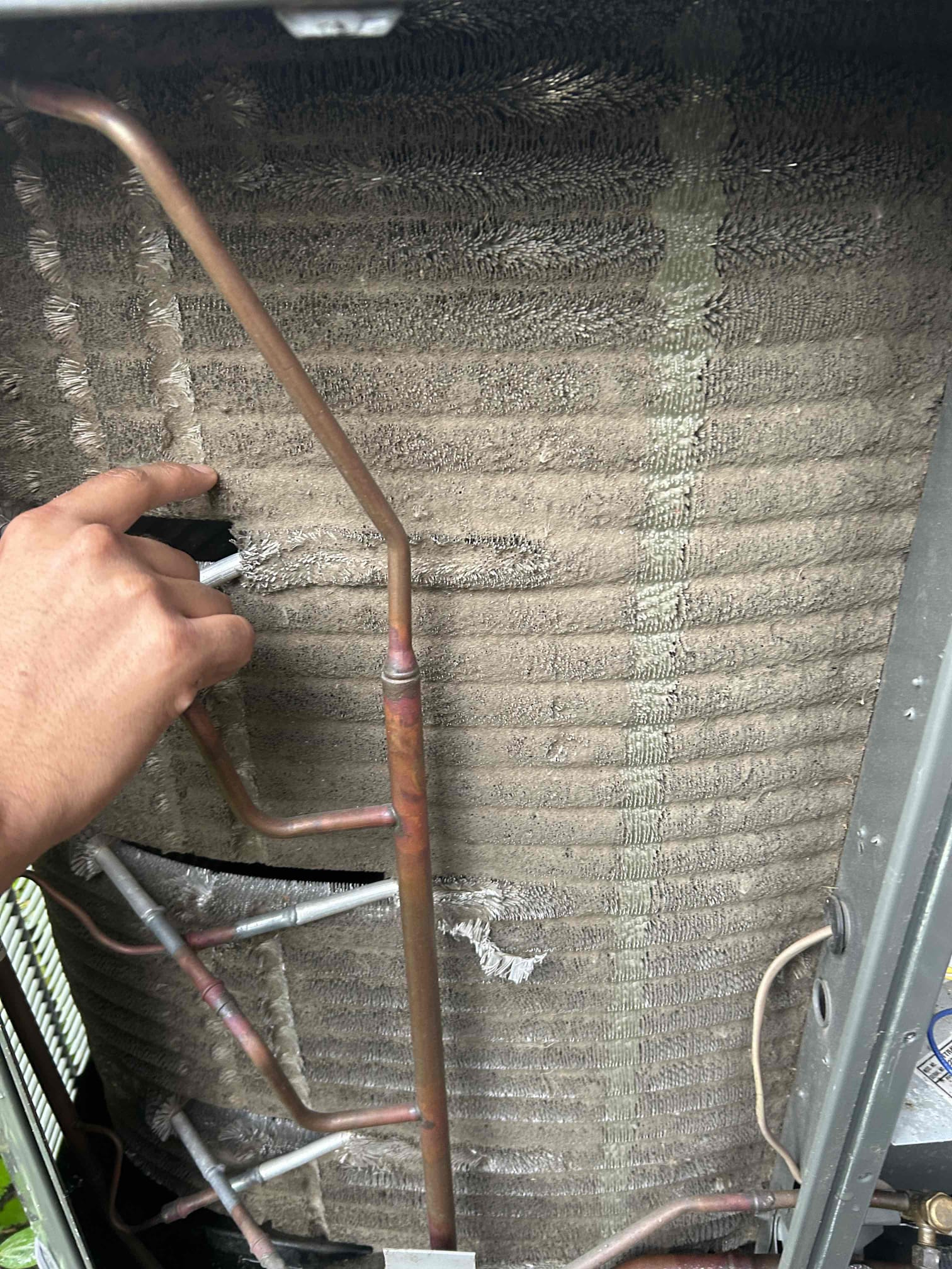 Performed central air conditioning inspection/maintenance.
Customer will replace the air filter.
Added rodent repellent to the condenser electric compartment, customer supplied.
System works properly at this time.