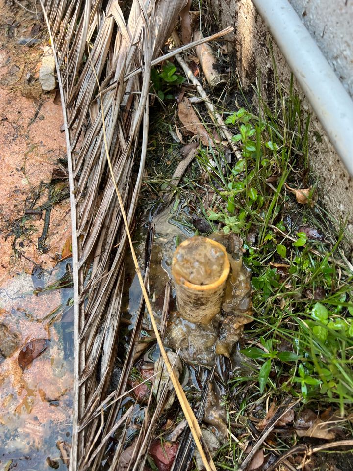Customer called about ac not cooling, check system same day and diagnose clog drain line, perform service and repair in margate Florida. 