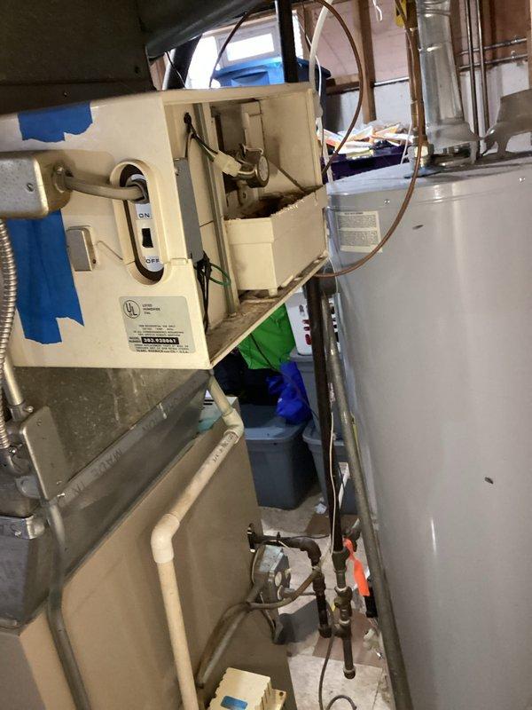 Responded to customer complaint of no hot water. Diagnosed faulty ignitor in water heater preventing proper operation. Replaced ignitor component to restore hot water functionality.