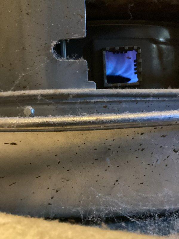 Performed complete check and clean on furnace and water heater per maintenance agreement. Inspected gas combustion chamber showing proper blue flame pattern and clean ignition. Examined plumbing connections and valves on water supply system, noting normal mineral buildup but no leaks or immediate concerns. Media replacement not included in this service.