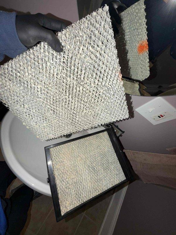 Performed scheduled maintenance agreement service on two furnaces and two humidifiers. Inspected and cleaned blower assembly components. Removed and examined air filters, noting one filter with minor staining; filters not included in agreement as specified (#35 -- 20x25x5 not included GS).