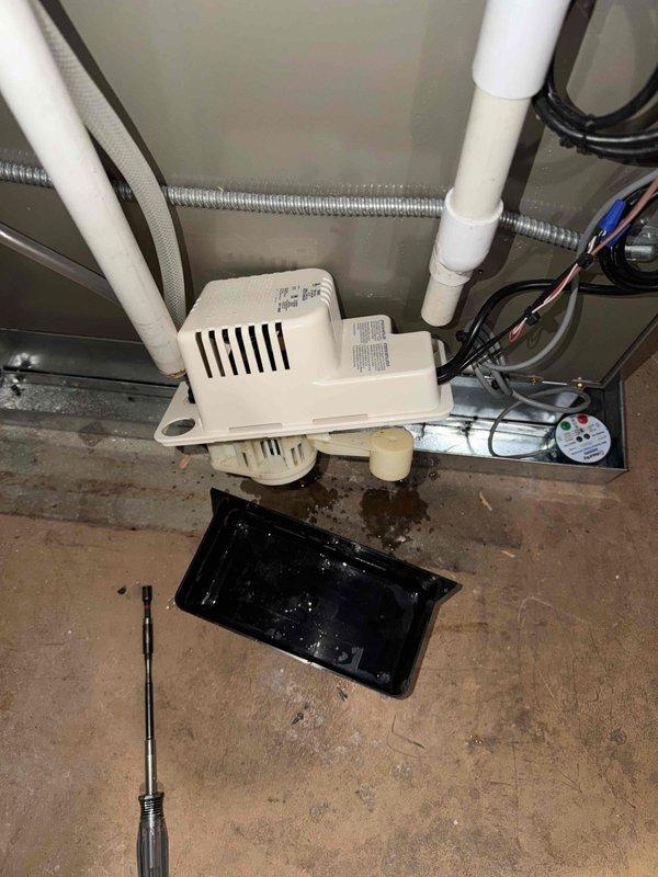 Performed routine maintenance under agreement on Infinity system with furnace and humidifier. Inspected blower wheel assembly and found condensation/moisture present. Checked condensate pump operation and drainage system, noting proper function of the collection tray and PVC drain lines.