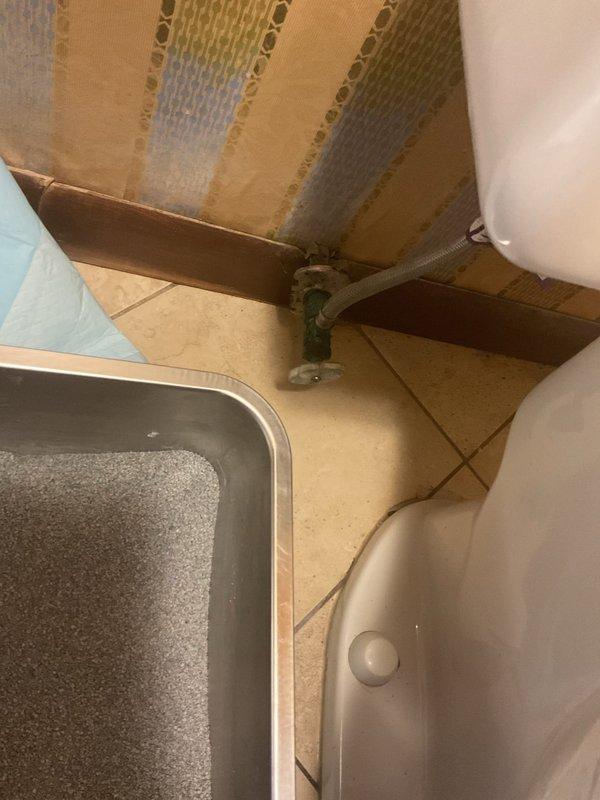 Performed comprehensive plumbing inspection at residence, diagnosing two main issues: no hot water supply to upstairs shower and clogged upstairs bathroom sink. Inspection revealed corrosion at pipe connection points and examined water heater system with copper supply lines showing normal oxidation. Documented findings with photographic evidence for customer records.