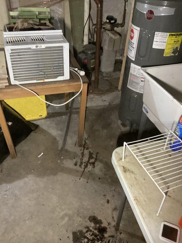 Performed main drain cleanout with camera inspection in basement utility area. Accessed floor drain opening, cleared blockage, and conducted video camera inspection to verify proper flow and assess drain line condition throughout system. Documented drain condition and work completed with photographic evidence showing cleanout access point and surrounding plumbing infrastructure.