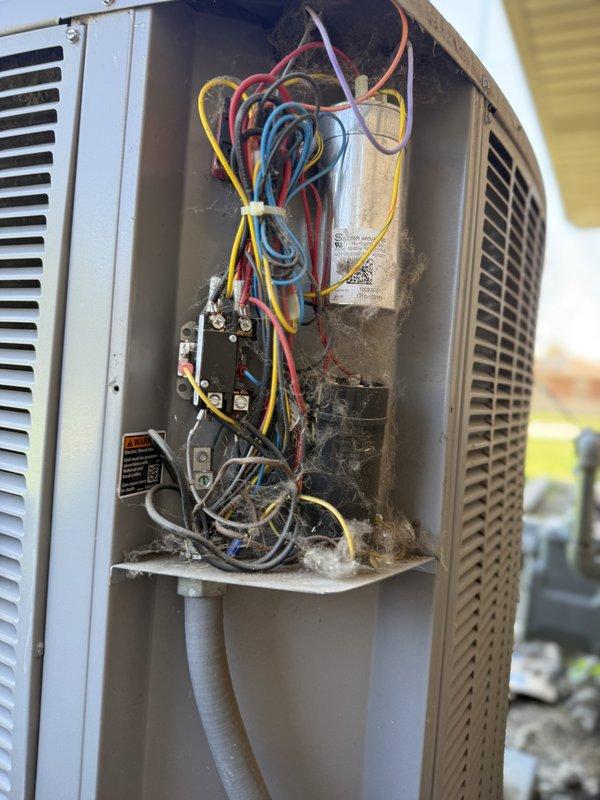 Completed quarterly maintenance agreement service on single condensing unit and water heater inspection. Performed standard maintenance procedures on outdoor condenser including electrical component inspection, capacitor testing, and contactor evaluation. Inspected Rheem Performance Plus water heater, verified proper operation of temperature and pressure relief valve, and checked plumbing connections. Installed 20x25x1 air filter and left additional filter on-site to compensate for missed February quarterly filter change per maintenance agreement schedule.
