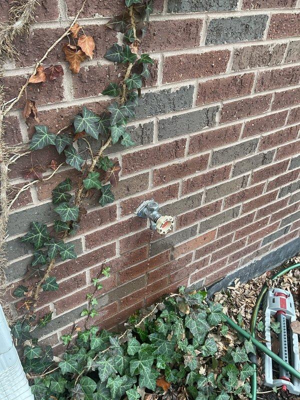 Responded to service call for multiple leaking exterior hose faucets. Upon arrival, located and inspected outdoor spigots obscured by dense ivy growth along exterior brick wall. Identified leaking gate valve-style hose bib with wheel handle requiring attention. Cleared vegetation as needed to access valve assembly and piping. Performed necessary repairs to eliminate water leakage from exterior faucet connections, ensuring proper seal and operation of valve mechanism.