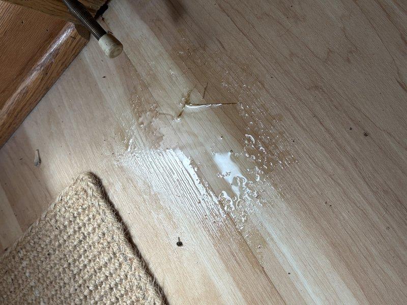 Responded to a toilet leak in a basement half bathroom where a faulty wax ring seal was causing water to seep onto the surrounding hardwood flooring. Removed the existing toilet, cleaned the flange, and installed the customer-supplied replacement toilet with a new wax ring and supply line. Addressed visible water damage on the hardwood floor outside the bathroom area where moisture had migrated and pooled at a low point, likely contributing to the musty odor reported in the space.