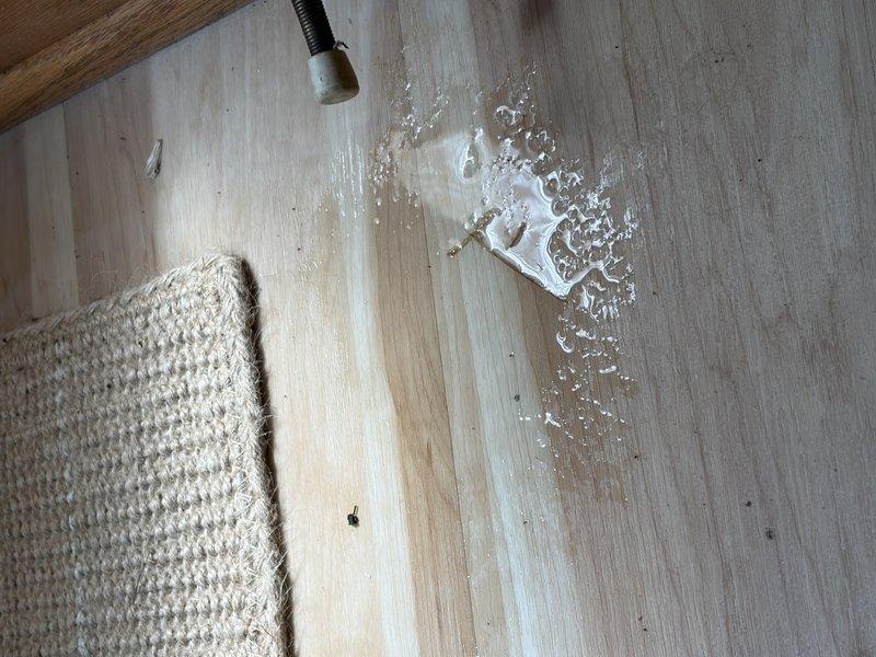 Responded to a toilet leak in a basement half bathroom where a faulty wax ring seal was causing water to seep onto the surrounding hardwood flooring. Removed the existing toilet, cleaned the flange, and installed the customer-supplied replacement toilet with a new wax ring and supply line. Addressed visible water damage on the hardwood floor outside the bathroom area where moisture had migrated and pooled at a low point, likely contributing to the musty odor reported in the space.