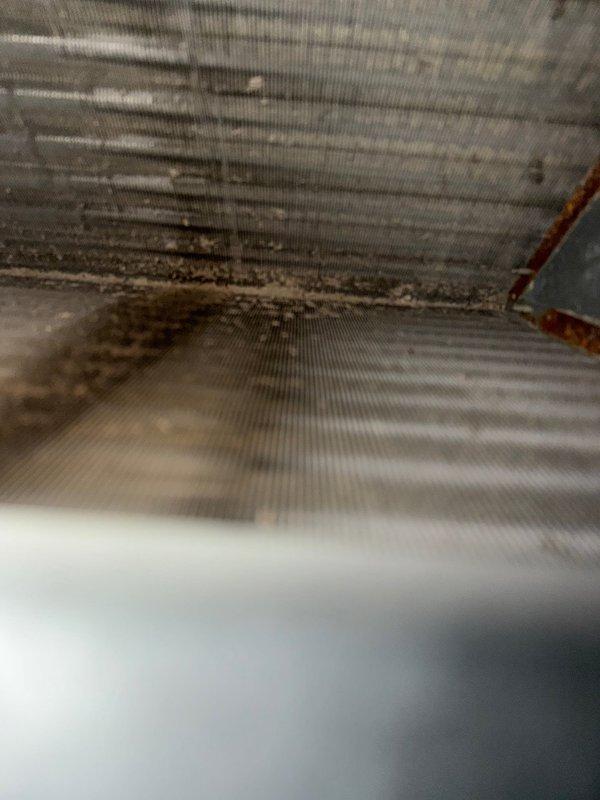 Completed preventive maintenance inspection on Payne condensing unit as part of agreement service. Documented extensive mold and mildew growth in air handler interior corner indicating moisture infiltration and condensation issues requiring attention. Verified condenser operation and captured equipment condition photos for service records.