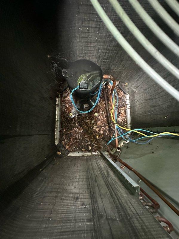 Completed chemical wash of condenser coil to restore heat transfer efficiency and optimal system performance. Finished attic portion of clean and check service, including inspection of ductwork and air handler components. System temperatures measured at supply duct showing 52.3°F, confirming proper cooling operation. Addressed accumulated debris and corrosion on blower motor mounting area and surrounding surfaces within air handler cabinet.