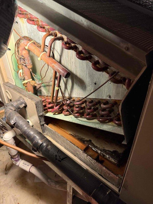 Responded to no cooling call and discovered active refrigerant leak from severely corroded evaporator coil. The serpentine copper coil exhibited extensive rust throughout its length, particularly at bends and joints, indicating advanced oxidation and system age. Inspected condensate drain system and confirmed proper trap configuration with functioning condensate pump. Unit requires evaporator coil replacement to restore cooling capacity and system integrity.