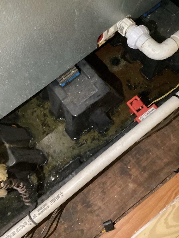 Responded to no cooling complaint on dual-zone upstairs HVAC system over 10 years old. Upon inspection, found significant air leakage around unit ductwork where insulation and duct tape had deteriorated and pulled away from seams. Measured supply air temperature at 97.5°F, confirming inadequate cooling performance. One zone experiencing intermittent cooling while second zone showed minimal cooling capacity. Observed standing water with algae growth and sediment accumulation in condensate drain pan, indicating drainage issues. Documented extensive duct leakage at air handler contributing to reduced airflow and inefficient zone temperature control. Recommended duct sealing and insulation repair to address conditioned air loss, along with condensate pan cleaning and drain line service to prevent water damage and maintain proper system operation.
