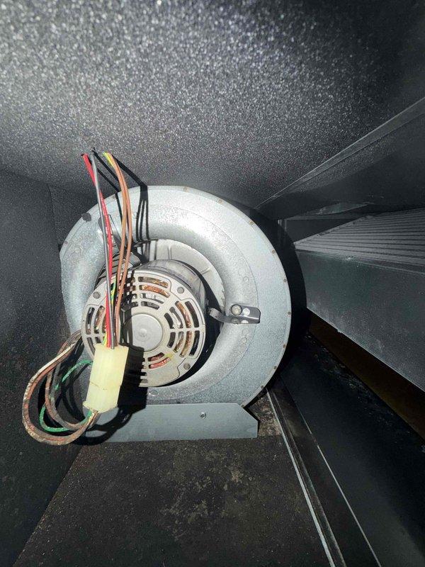 Performed courtesy check on three air conditioning units and one air handler. Inspected blower motor assembly and verified proper wiring connections and motor operation. Measured and documented supply air temperature at 54.9°F, confirming adequate cooling performance. Captured documentation of equipment condition for service records.