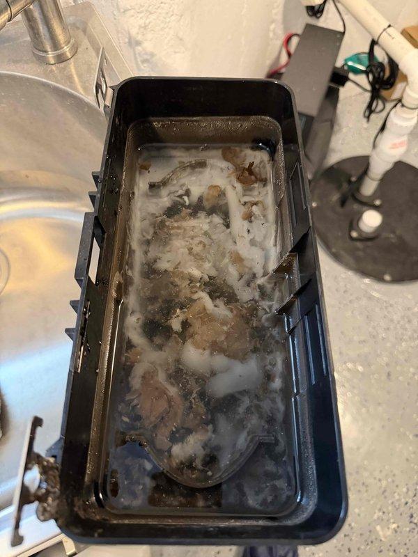 Performed comprehensive cooling system maintenance as part of Gold Shield Care on the Way agreement. Inspected outdoor condensing unit, verified proper operation of compressor and condenser fan, and cleaned accumulated debris from condensate drain pan in mechanical room. Unit operating within normal parameters with all electrical connections secure and refrigerant lines properly insulated.