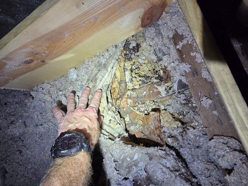 Returned to property to investigate reported water leak in HVAC system. Upon inspection of attic space, located flexible supply duct with intact insulation wrapping and adjacent PVC condensate drain line. Examined surrounding areas and discovered deteriorated paper-backed insulation material on attic floor showing significant moisture damage, discoloration, and breakdown. Material exhibited yellowing, flaking, and crumbling consistent with previous water exposure. Documented conditions with photographs showing affected insulation and HVAC ductwork configuration. No active water leak detected at time of inspection from condensate drain line or ductwork connections. Recommended monitoring system for future leaks and advised replacement of damaged attic insulation to restore proper thermal efficiency.