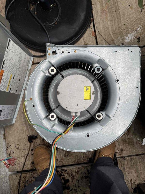 Replaced two blower wheel assemblies in the HVAC air handling system. Removed old squirrel cage blower wheels from their housings, installed new replacement blower wheel assemblies with proper mounting and motor wiring connections, and verified operational functionality of the system upon completion.