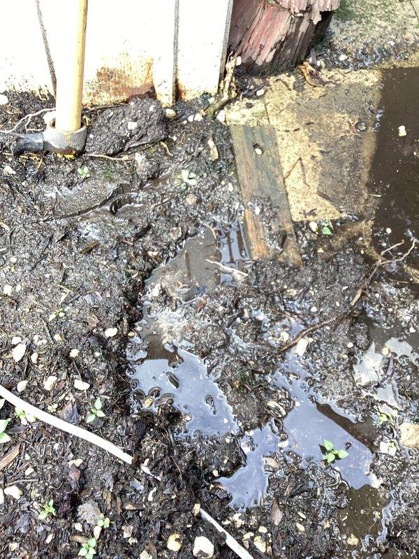Responded to customer concerns regarding persistent moisture on exterior walkways and patio areas. Conducted thorough inspection of property perimeter, focusing on underground plumbing infrastructure and potential sewer line issues. Documented current conditions showing saturated ground surfaces, standing water accumulation in paved areas, and deteriorated subsurface materials consistent with chronic water infiltration. Evidence suggests possible compromised sewer or water line requiring further excavation and diagnostic testing to pinpoint exact source of leak and determine appropriate repair solution.