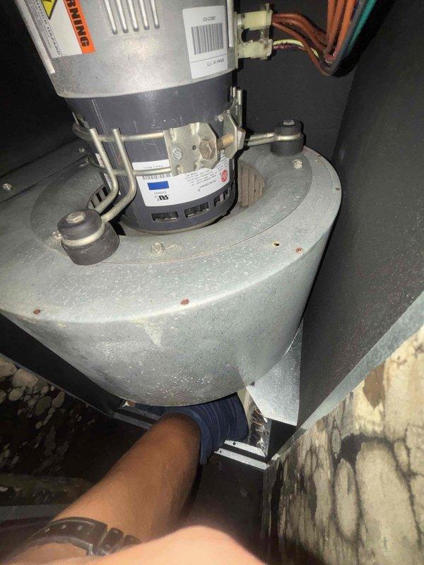 Performed comprehensive blower assembly cleaning on HVAC air handler unit. Accessed and removed accumulated dust and debris from blower motor housing, mounting base plate, and surrounding compartment surfaces. Blower motor assembly, including cylindrical motor housing with ventilation slots and curved blower wheel, was thoroughly cleaned and inspected for proper operation before reassembly.