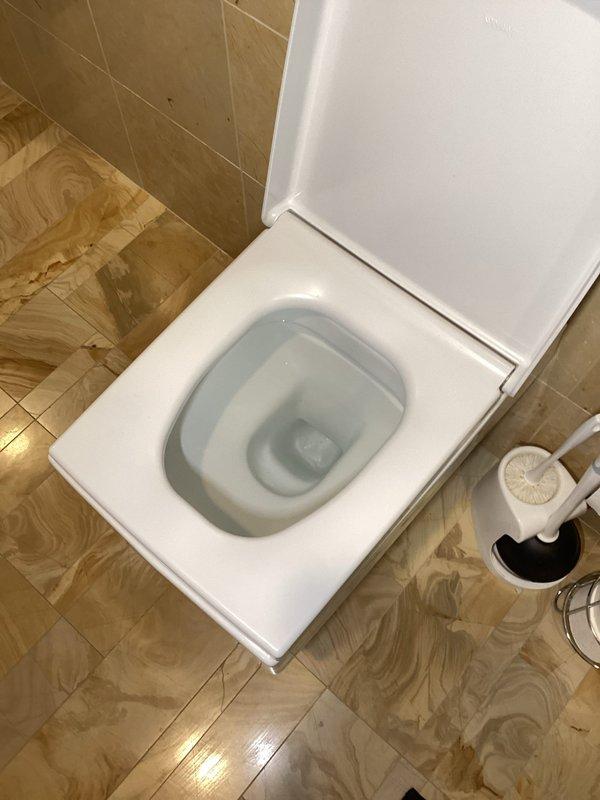 Returned for callback on previously serviced slow-draining toilet where issue has recurred. Inspected wall-mounted flush mechanism, rimless bowl toilet, and drainage system; documented conditions with photos showing modern bathroom installation with marble tile finishes. Assessed flush valve operation, water flow patterns, and potential blockage points to determine root cause of persistent slow drainage problem.