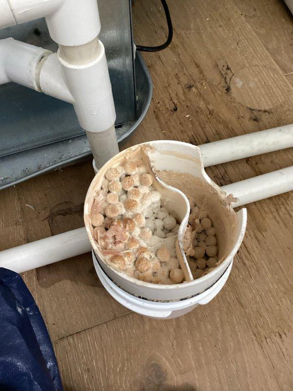 Responded to callback regarding water leak traces under PVC piping following previous maintenance visit. Inspected AXIOM NC-1W water treatment unit and associated PVC drainage system, finding minor moisture residue but no active leaking present. Verified all pipe connections and fittings are secure with proper sealing. Confirmed furnace access doors are properly closed, flush-mounted, and fully secured. Inspected and verified air filter is correctly installed with proper orientation and fitment. Documented equipment conditions with photos showing VentMaster system components and condensate drainage assembly with aggregate trap material. All systems operating within normal parameters with no immediate service needs identified.