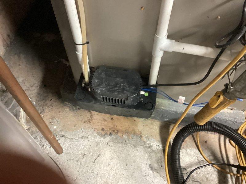 Performed annual maintenance on one furnace and one humidifier, including replacement of the 16x25x1 air filter and inspection of the condensate drain system. Inspected the condensate pump and clear drain trap, noting residue buildup in the trap and staining on the floor below the pump that indicates prior moisture, and verified the pump was powered and operating with its indicator light on.