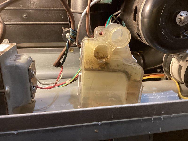 Performed scheduled maintenance on the furnace and humidifier system, inspecting the humidifier housing and connected galvanized ductwork, along with the furnace cabinet interior and wiring. Found the condensate collector box with heavy discoloration and residue buildup around the drain port, and noted aged humidifier housing with no frost, rust, or cracking present. Cleared and serviced the condensate components, verified the wiring harness and transformer connections, and confirmed the system is operating properly.