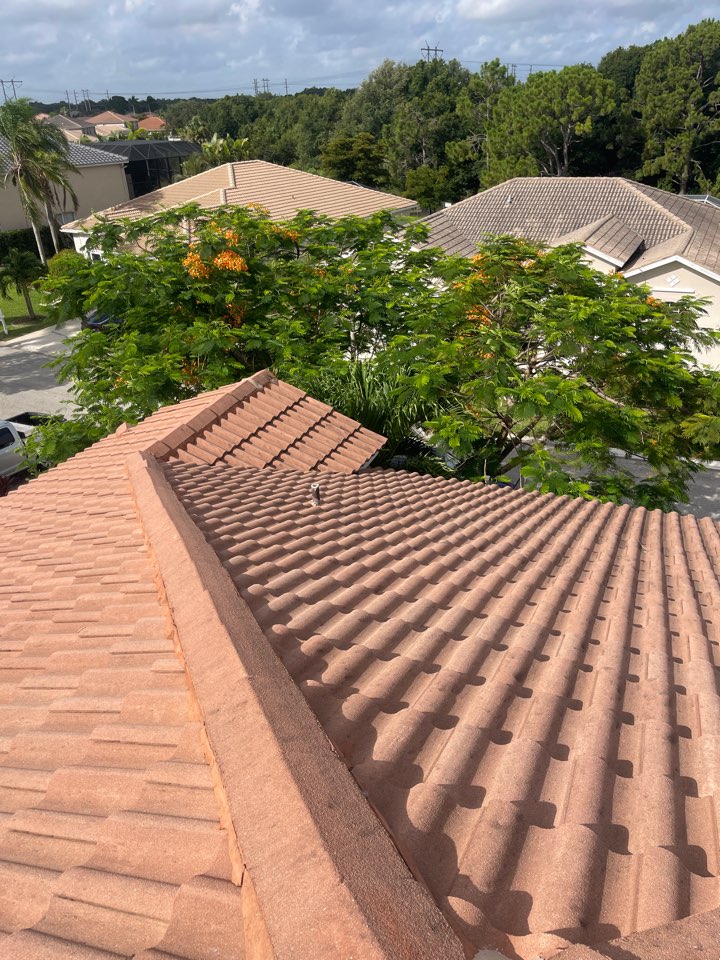 Fort Myers Roof Cleaning Experts Customer Feedback