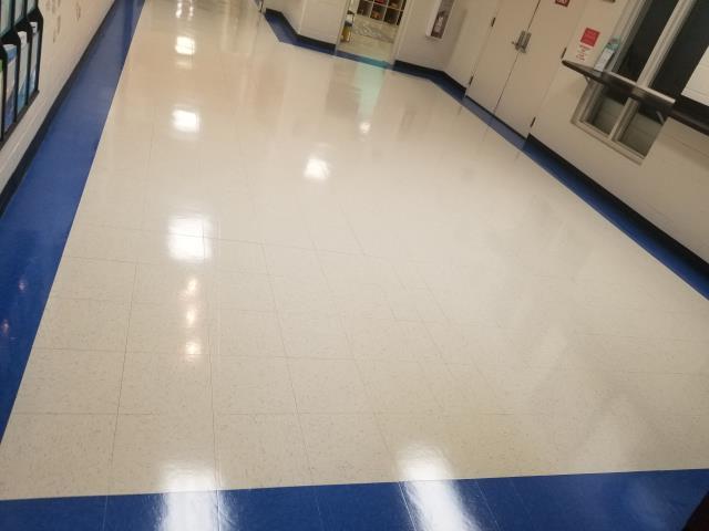 TCE floors are so clean you won't want to walk on them!