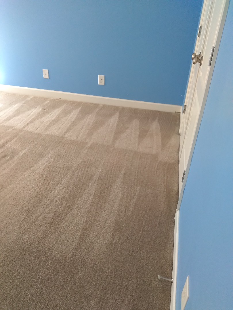 Crispy clean vacuum lines in every room