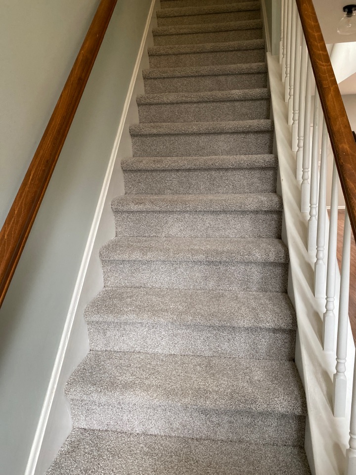 An elegant display of a freshly cleaned stairway An elegant display of a freshly cleaned stairway