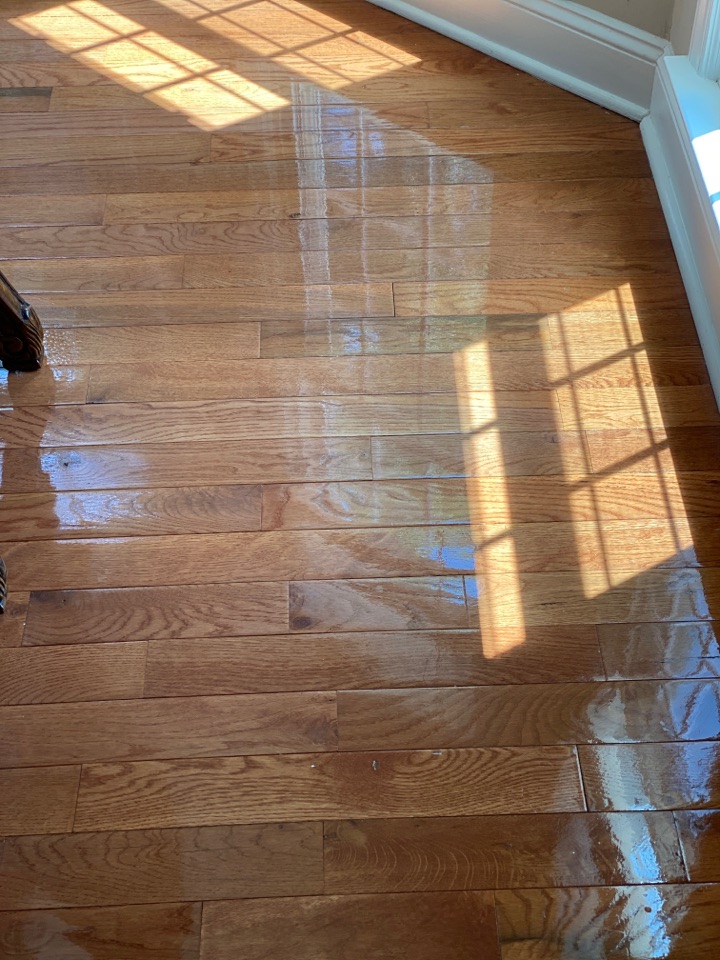 Mopped floors Mopped floors